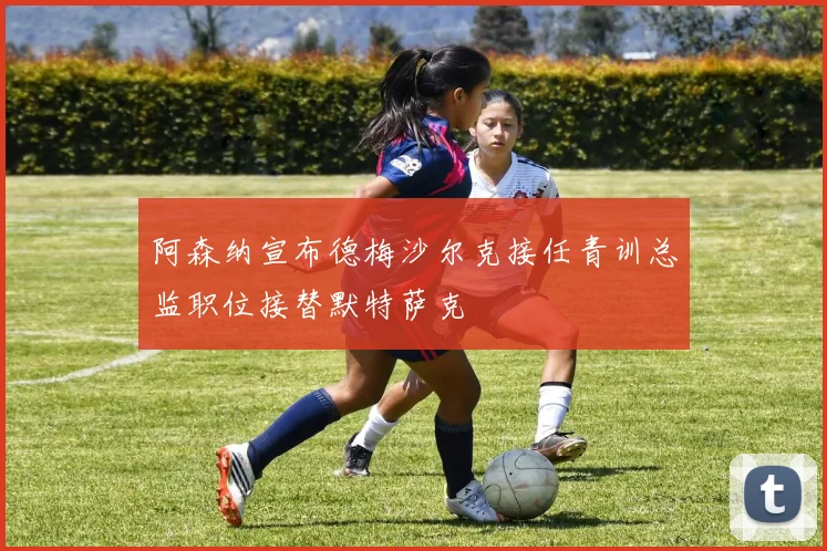 阿森纳宣布德梅沙尔克接任青训总监职位接替默特萨克
