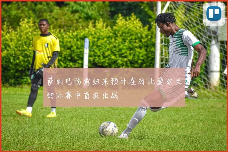 萨利巴伤愈归来预计在对北爱尔兰的比赛中首发出战