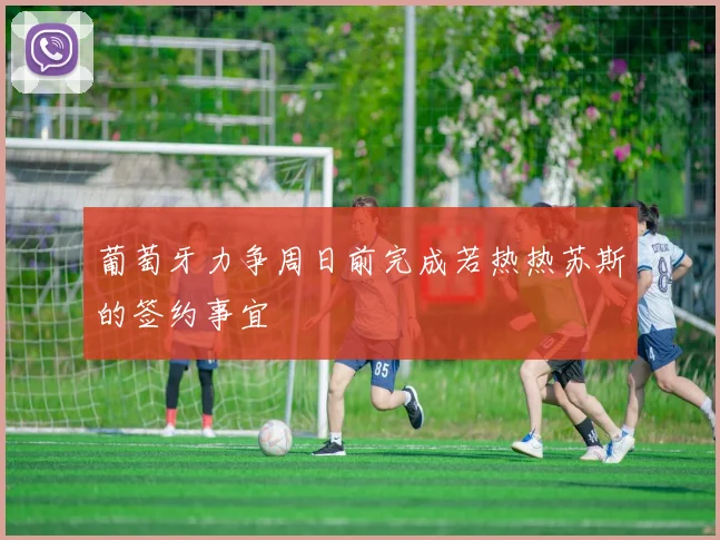 葡萄牙力争周日前完成若热热苏斯的签约事宜
